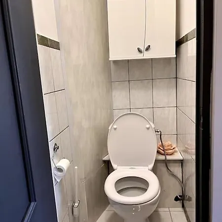 Apartment Cozy In Kaunas