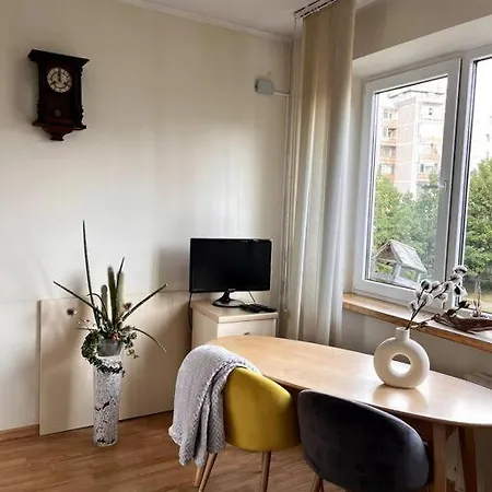 Cozy In Apartment