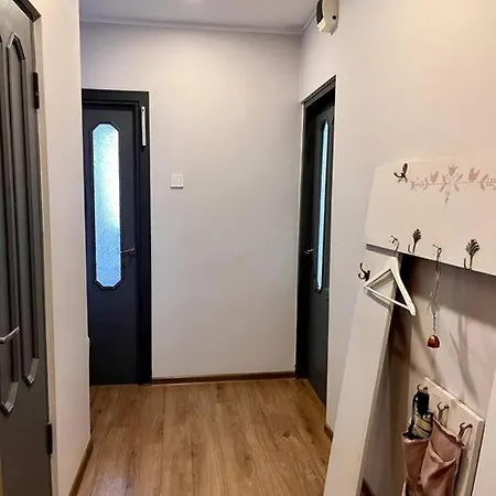 Apartment Cozy In Kaunas