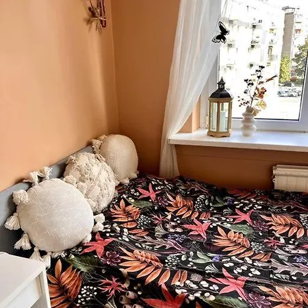 Cozy In *