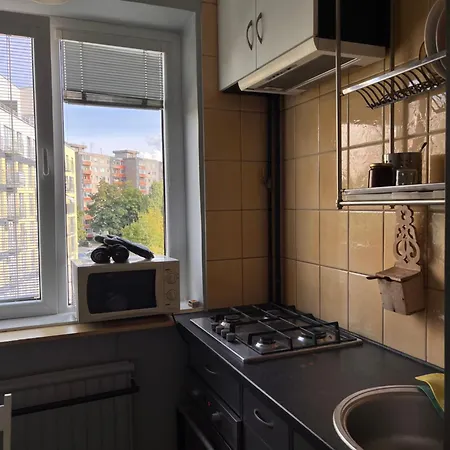 Cozy In Apartment Kaunas