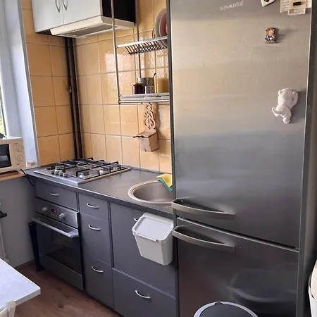 Cozy In Apartment Kaunas