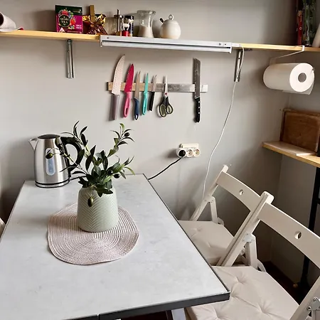 Apartment Cozy In Kaunas